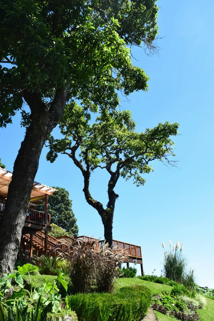 The landscape of El Salvador